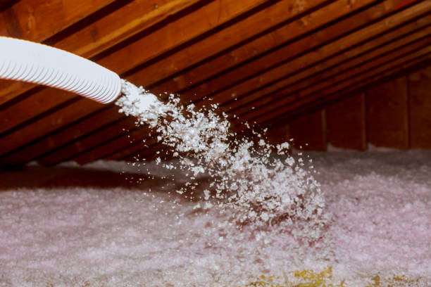 Best Types of Insulation in Oak Park, CA